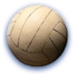 Volleyball software starts at just $595